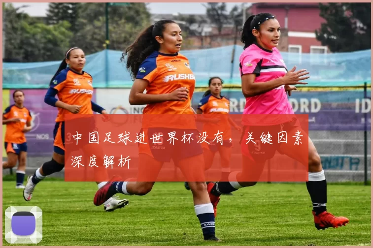 中国足球进世界杯没有,关键因素深度解析