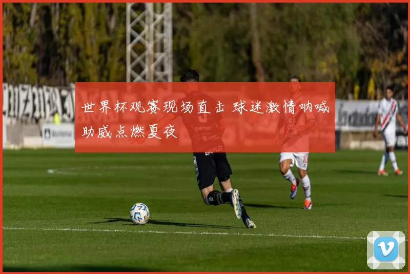 世界杯观赛现场直击 球迷激情呐喊助威点燃夏夜