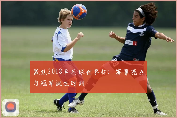 聚焦2018乒乓球世界杯:赛事亮点与冠军诞生时刻