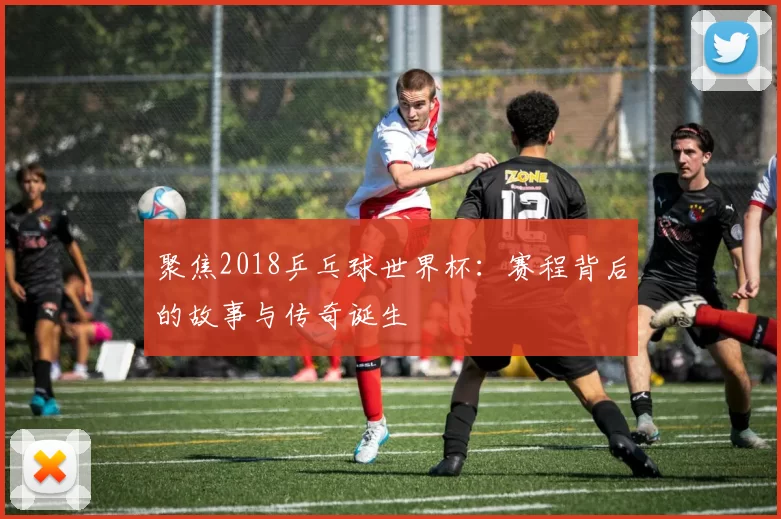 聚焦2018乒乓球世界杯：赛程背后的故事与传奇诞生