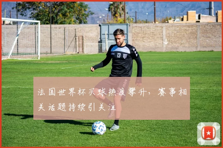 法国世界杯买球热度攀升,赛事相关话题持续引关注