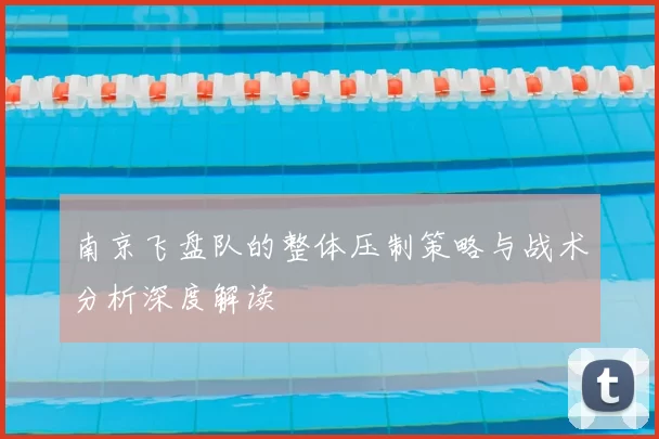 南京飞盘队的整体压制策略与战术分析深度解读
