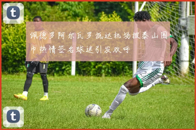 佩德罗阿尔瓦罗抵达机场披泰山围巾热情签名球迷引发欢呼