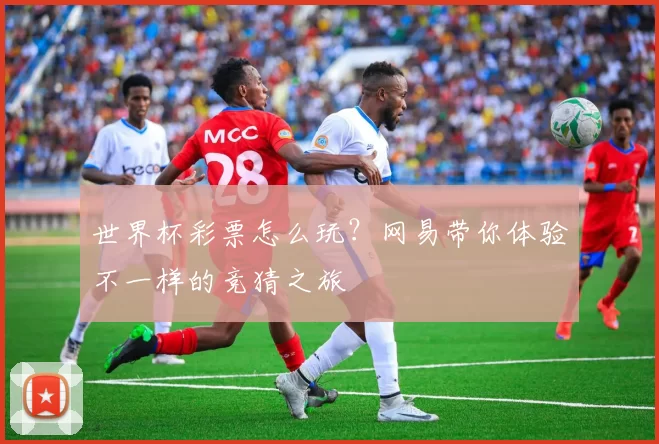 世界杯彩票怎么玩?网易带你体验不一样的竞猜之旅