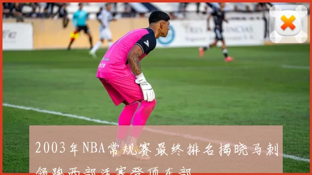 2003年NBA常规赛最终排名揭晓马刺领跑西部活塞登顶东部