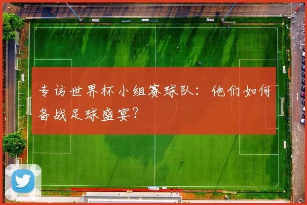 专访世界杯小组赛球队：他们如何备战足球盛宴？
