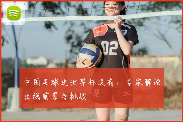 中国足球进世界杯没有,专家解读出线前景与挑战