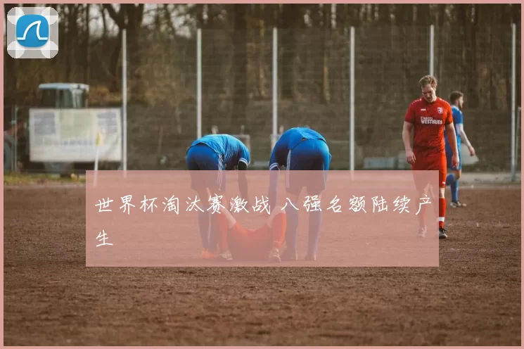 世界杯淘汰赛激战 八强名额陆续产生