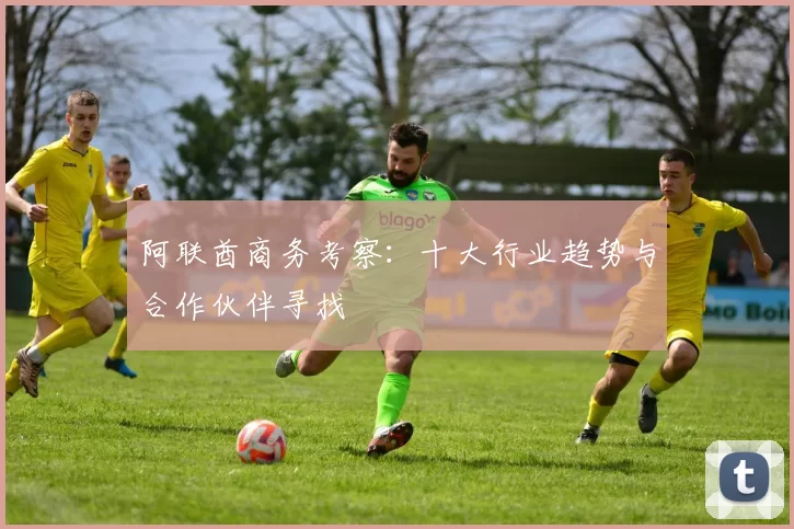 阿联酋商务考察:十大行业趋势与合作伙伴寻找