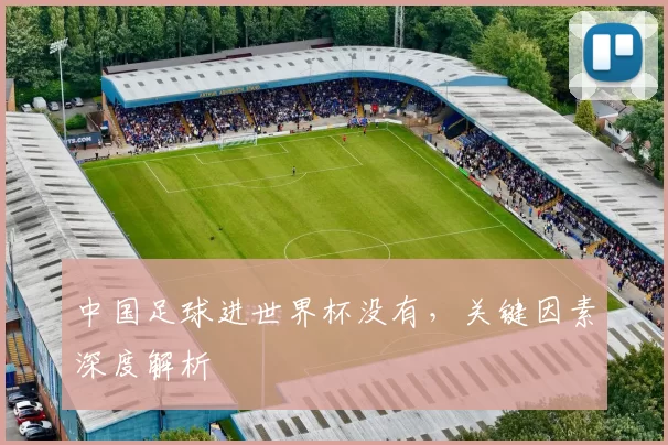 中国足球进世界杯没有,关键因素深度解析