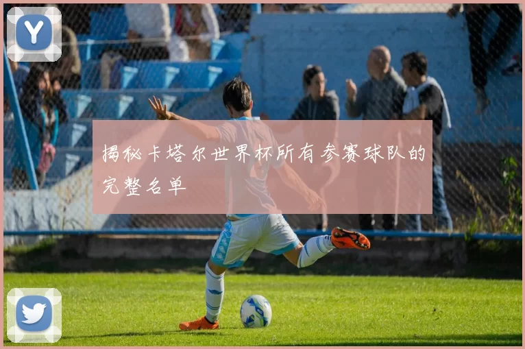 揭秘卡塔尔世界杯所有参赛球队的完整名单