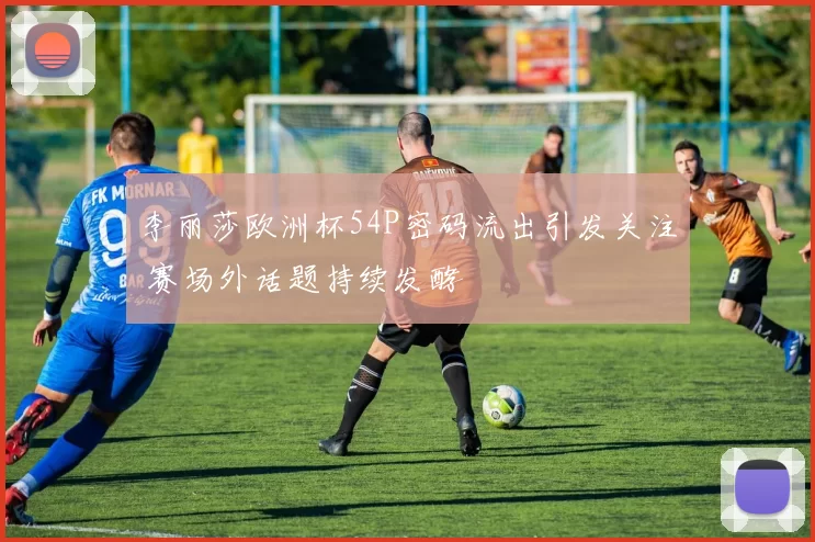 李丽莎欧洲杯54P密码流出引发关注 赛场外话题持续发酵