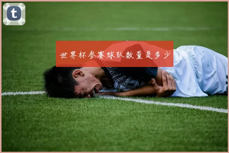 世界杯参赛球队数量是多少